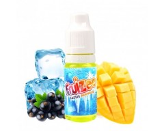 Grosella Negra Mango - Fruizee (10ml)