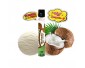 Pod Desechable WPUFF - Liquideo