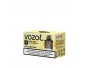 Recambio Piña Limón - Vozol Vista Plug 2+10